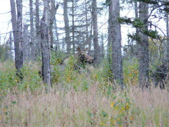 [Anchor+Point1+(Small).jpg]