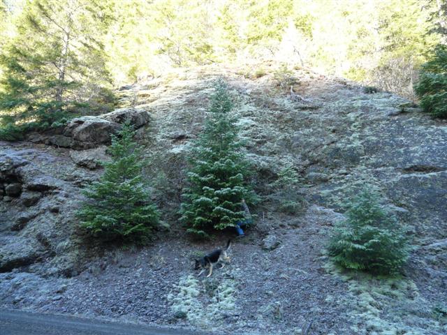 [Dec3+039+(Small).jpg]