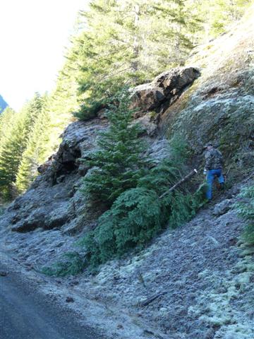 [Dec3+057+(Small).jpg]