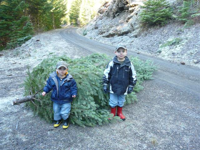 [Dec3+064+(Small).jpg]