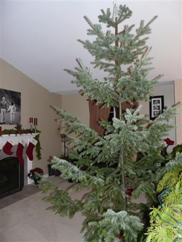 [Dec3+094+(Small).jpg]