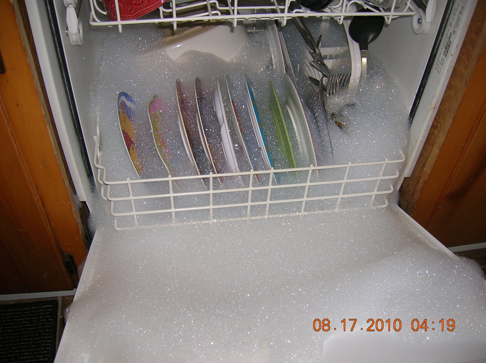 Dishwashing soap vs. DishWASHER soap The results