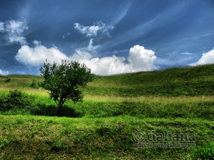 Photographis Green Fields Fields of Dreams