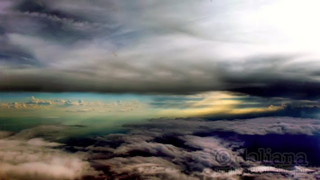 Photographis: July 2010