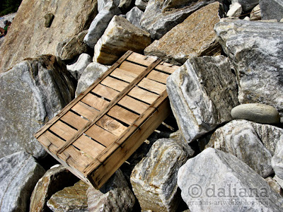 Photographis: Like a Rolling Stone