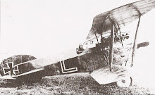 Phönix D II