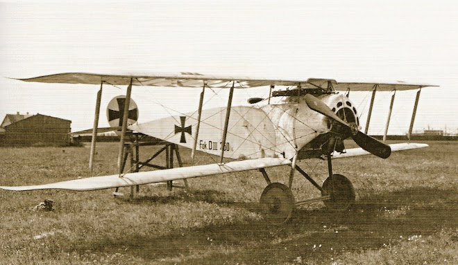 Fokker D I