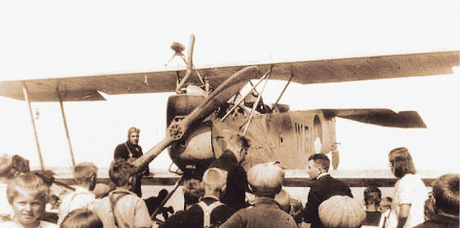 Hansa-Brandenburg W.12