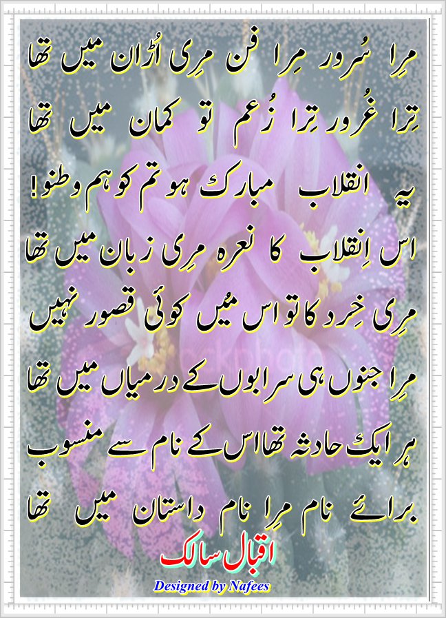 Mera Suroor Mera Fun Meri Udaan Mein Tha (Urdu Poetry Card) Cutee Poetry