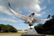 UNCW Seahawk