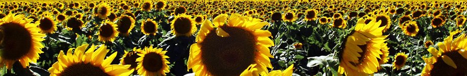 Rabindra Sangeet - Songs of Rabindranath Tagore