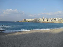PLAYA DEL ORZÁN