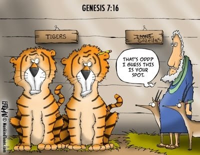 dinosaurs ark noah god where chapel fellowship youth safekeeping caused come