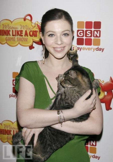[famous_people_and_their_cats_34.jpg]