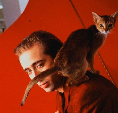 [famous_people_and_their_cats_22.jpg]