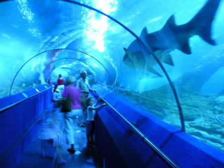 [Breathtaking_+Aquariums_Around_The_World_06.jpg]