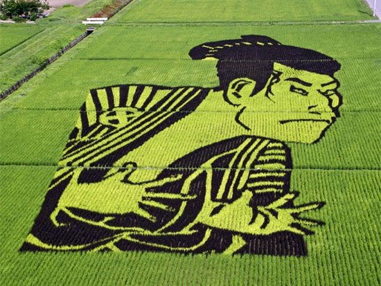 [japanese-rice-art.jpg]