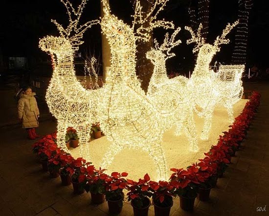 [Beautiful_Decorations_For_Christmas_25.jpg]