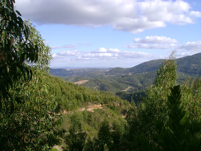 PAISAGEM RURAL TENDO O ALFERCE AO FUNDO