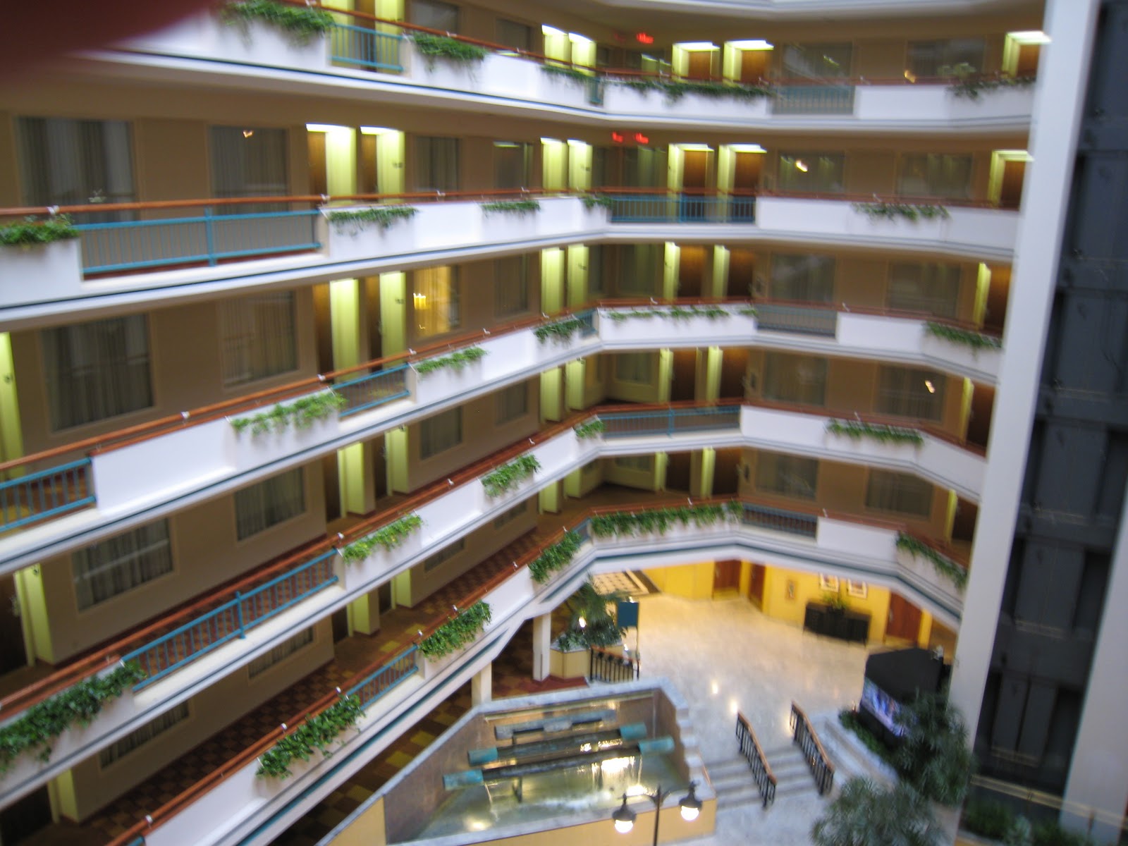 Quilt Bindings Austin Area Quilt Guild Show