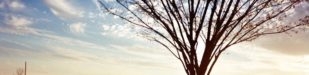 [3512202848_92f84b95fc_b.jpg]