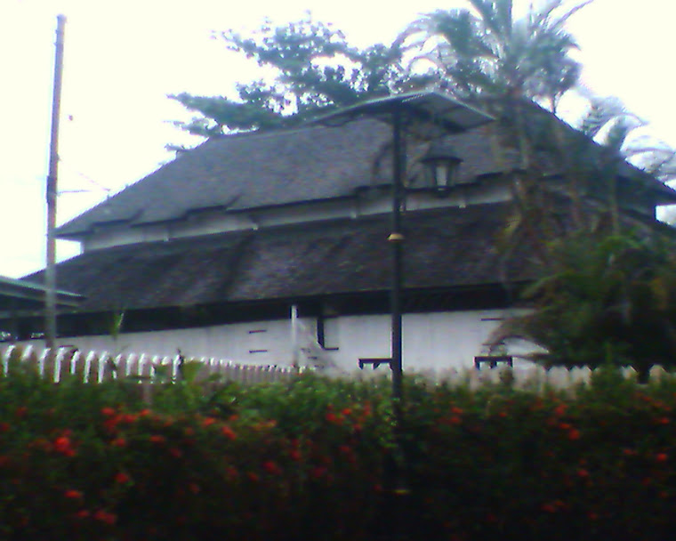Kubu Lily di Betong.