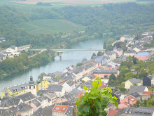 Luxembourg Vineyards