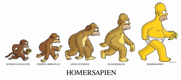 Homer Evolution
