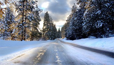 [929304_92850885.jpg]