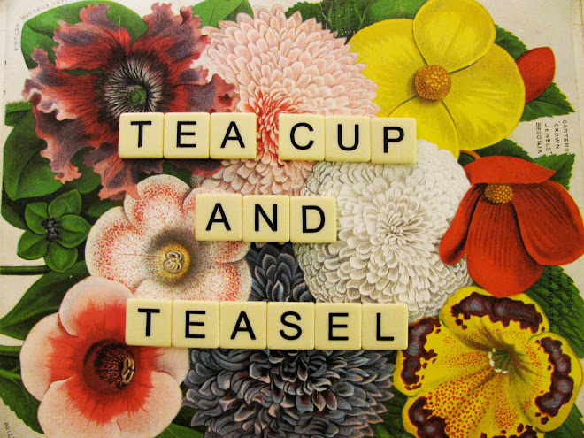 teacup and teasel