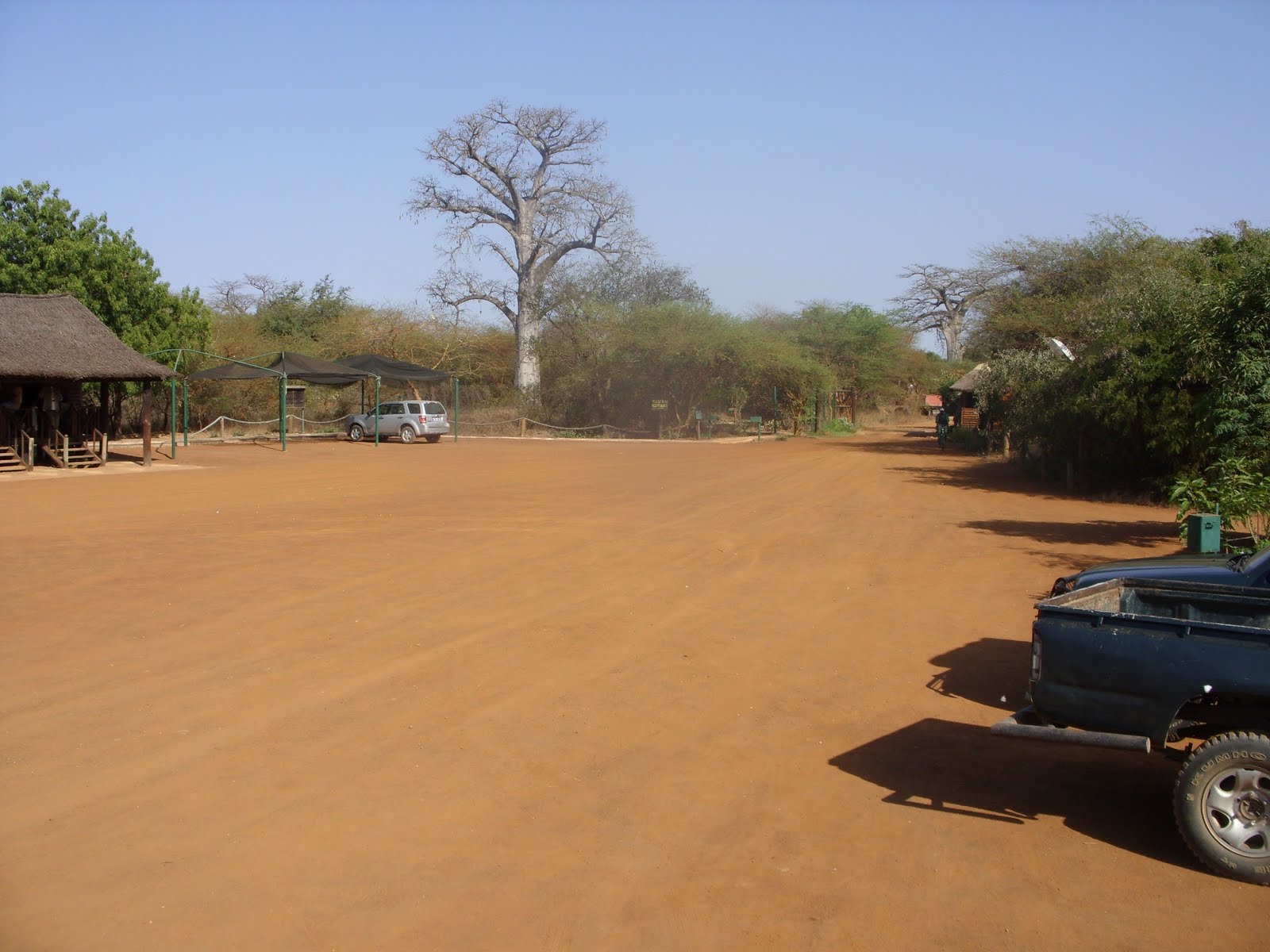 Our Gambian Adventure: Bandia Game Reserve
