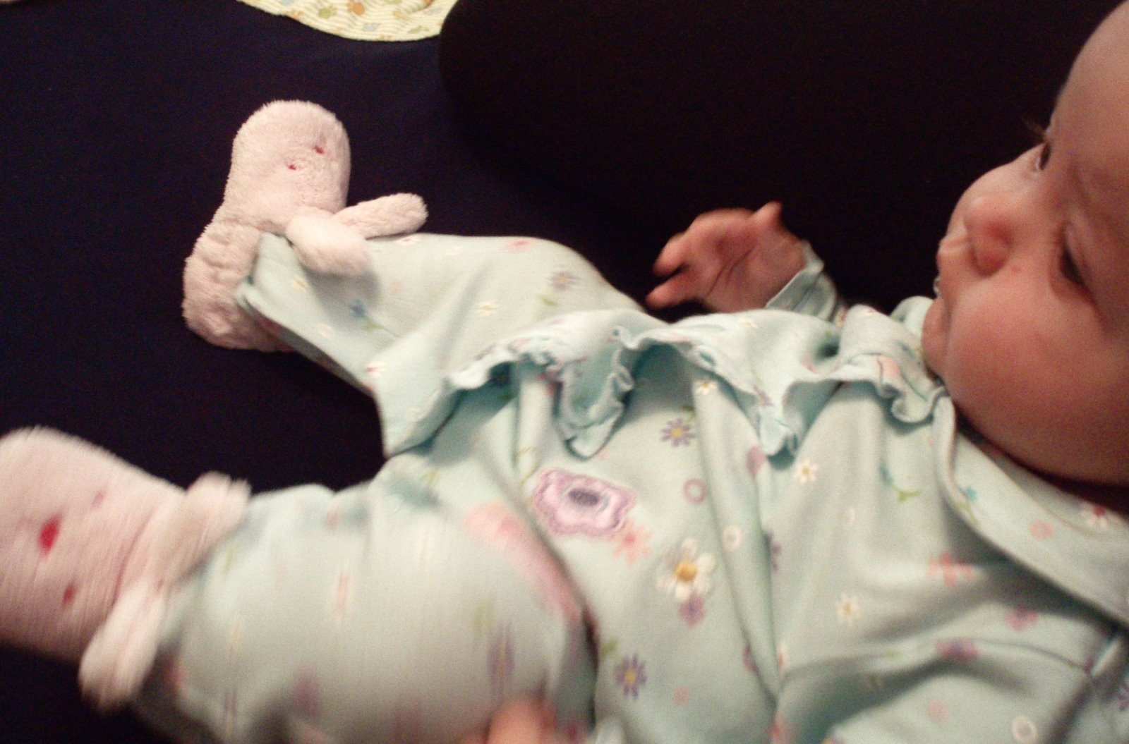 [Bunny+Slippers.JPG]