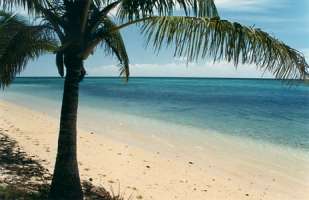 [Fa+Fa+empty+beach.jpg]