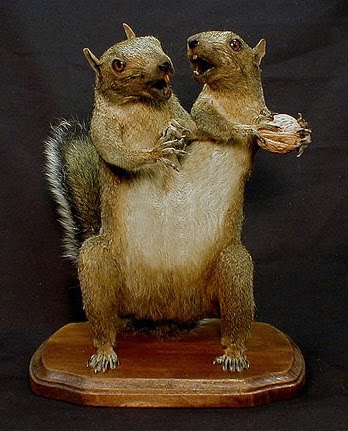 [sarina-brewer-5.jpg]