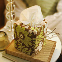 [tissuebox-2001208286168.jpg]