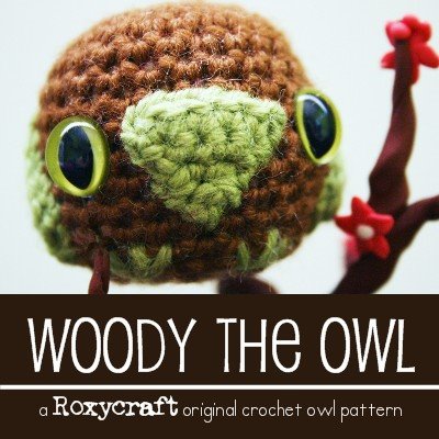 [woodyowllogo400.jpg]