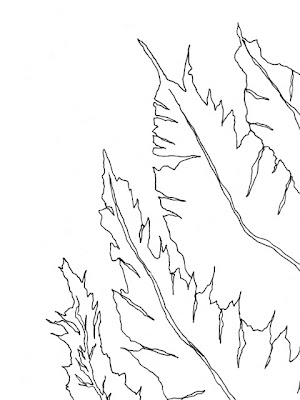 fern and silt line drawing
