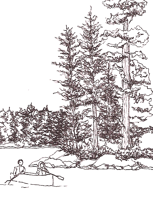 ink drawing of couple canoeing near wooded shoreline