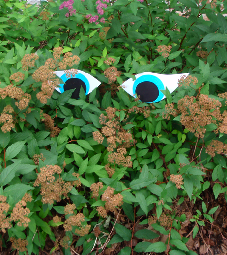 paper eyes in a bush