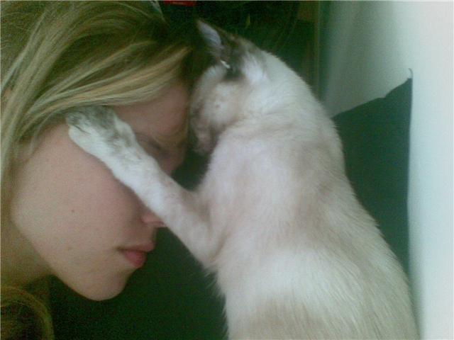 [GetAttachment[1].jpg]