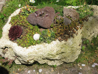 Garten-Impressionen: DER STEINGARTEN BLÜHT AUF / THE ROCK GARDEN IS