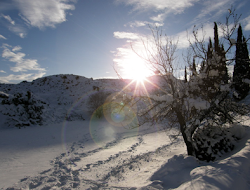 Sol y nieve en los sabinares