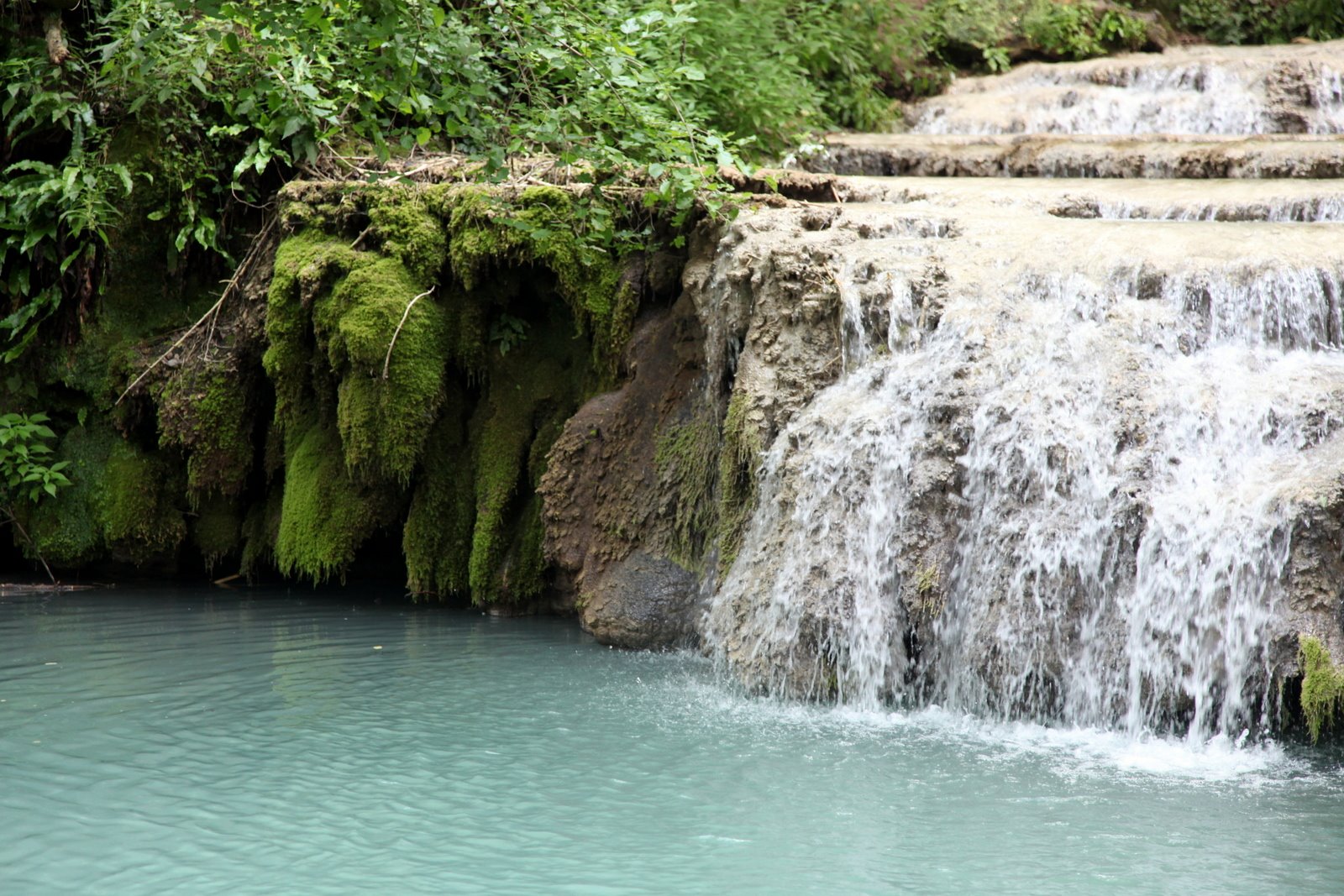 [IMG_6114.JPG]
