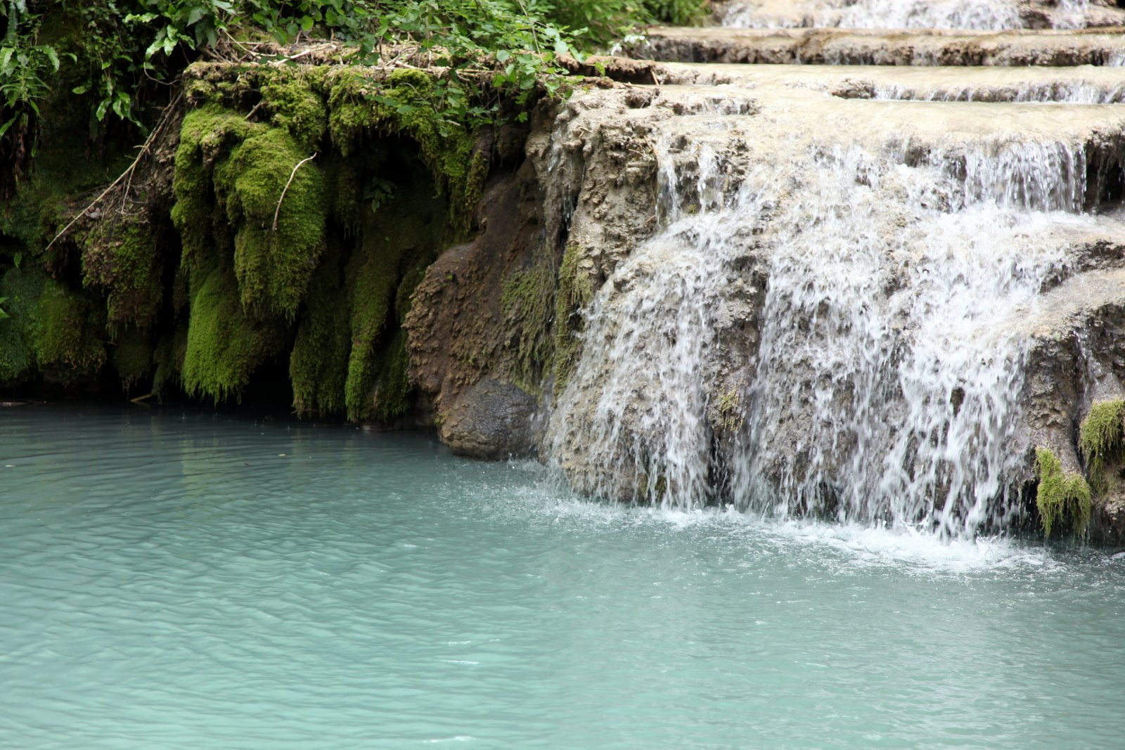 [IMG_6115.JPG]