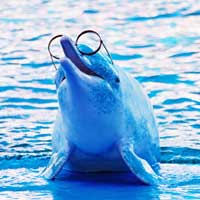 jureewan-aui: Oasis Sea World jureewan-aui: Oasis Sea World