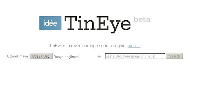 tineye-ayni-resmi-ara.JPG