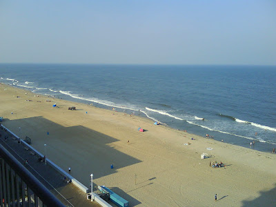 The Chesapeake Bay TMDL: Feel Good or Foolproof?