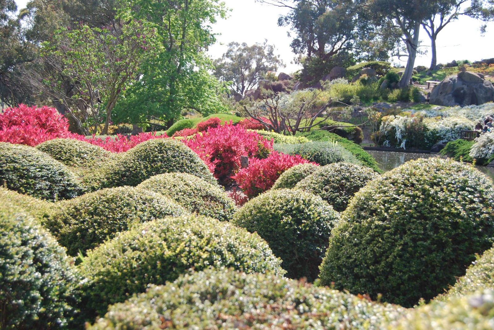 Becky et al Cowra Japanese Garden
