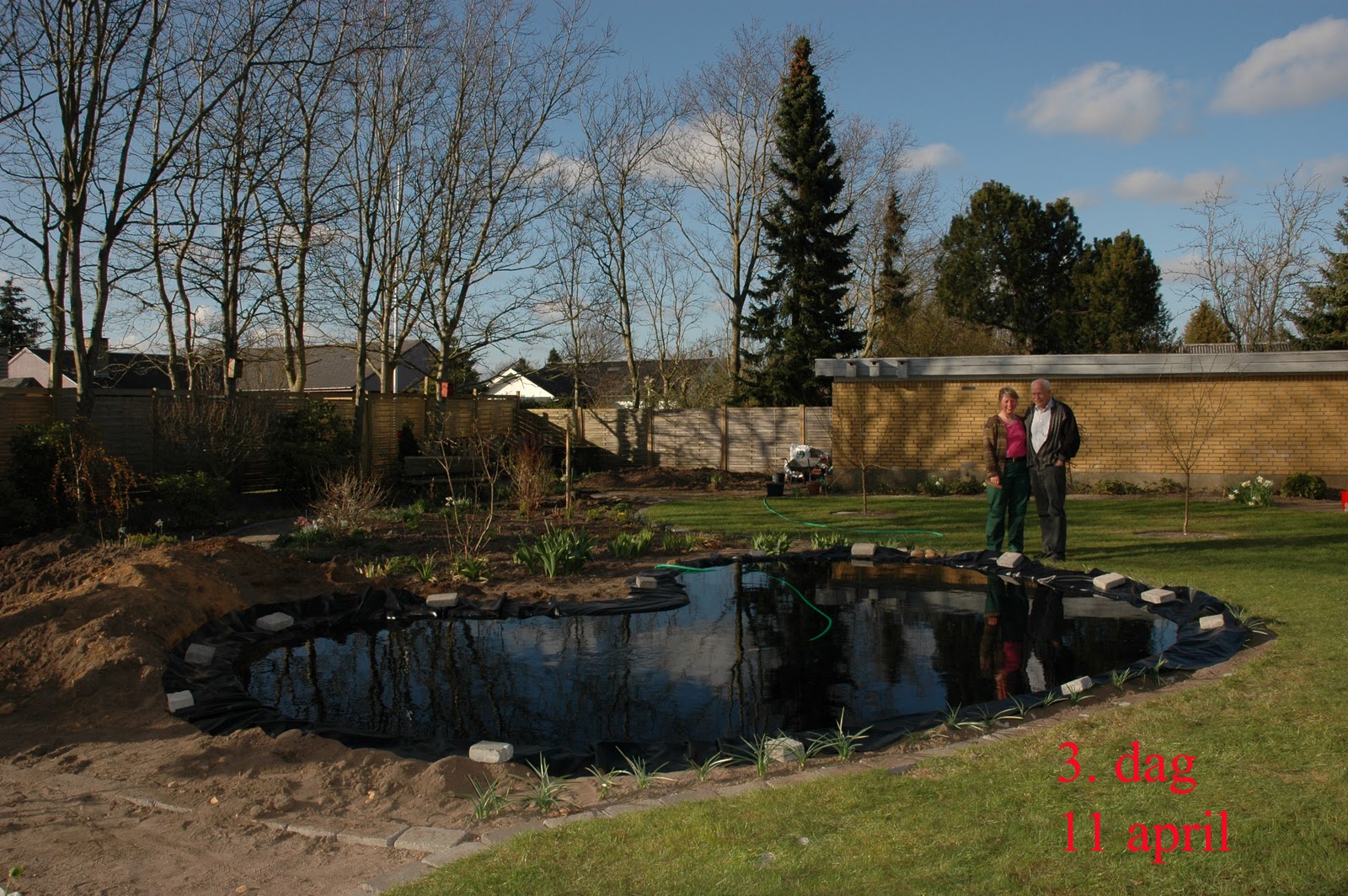 Mit grønne univers: Havebassin (II)