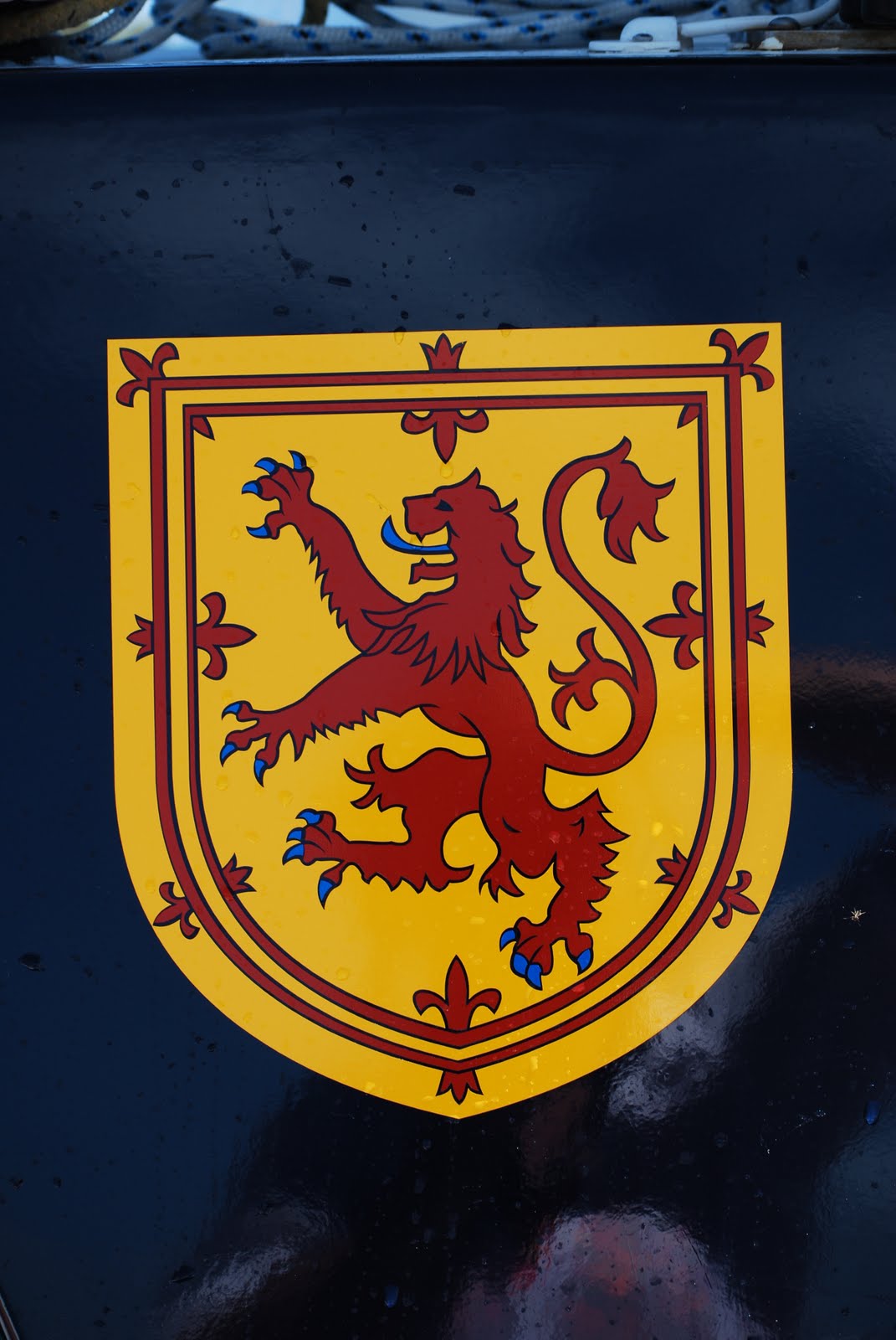 Lion RampantYoung 88 Yacht Lion Rampant's Story